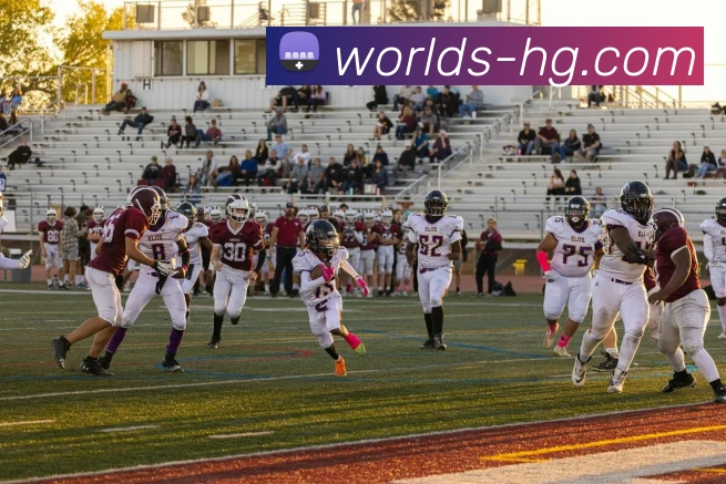 App Interface Preview